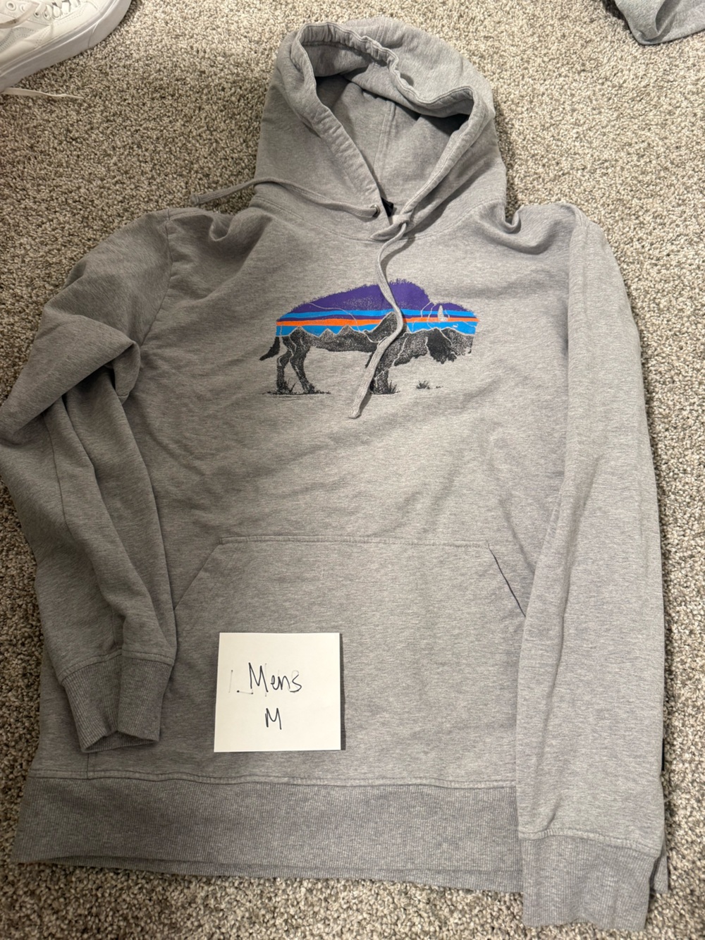 Patagonia Gray Crewneck Hoodie with Multicolor Buffalo Graphic